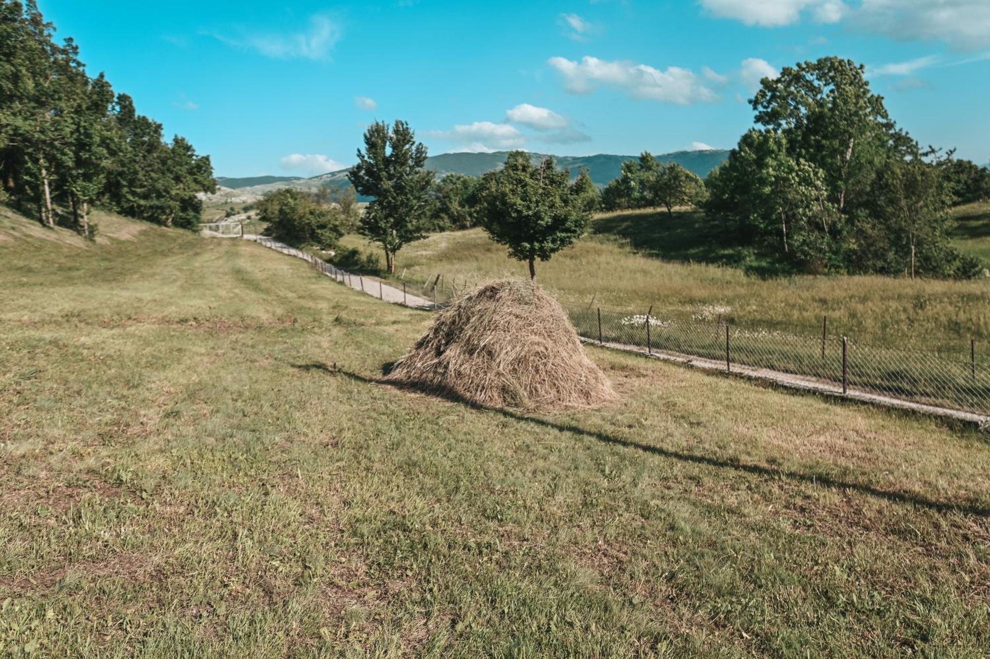 Domacinstvo Braca Rebic Villa Gacko ภายนอก รูปภาพ